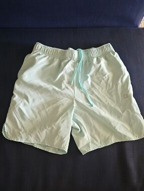 RBX Light Mint Men’s Swim Trunks